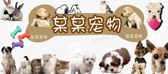 以太坊erc钱包