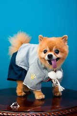 php 接入以太坊钱包