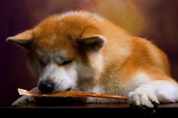 imtoken安卓版下载app