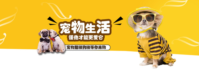 以太坊从钱包转交易所