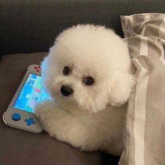 以太坊支持哪些钱包