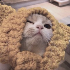 以太坊钱包白屏