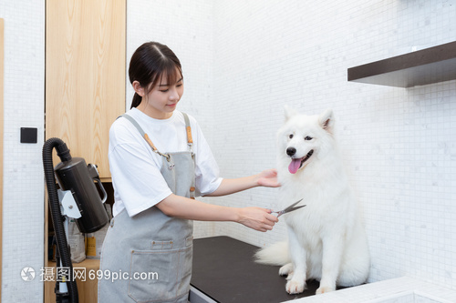 以太坊公链钱包价格表最近