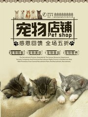 以太坊钱包平台走势
